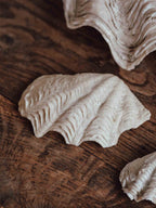 Giant Clam Shell Large