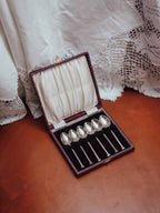Boxed Set of Six Silver Plated Teaspoons