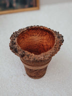 Turned Blackboy Peach Wood Vase with Natural Burr Rim