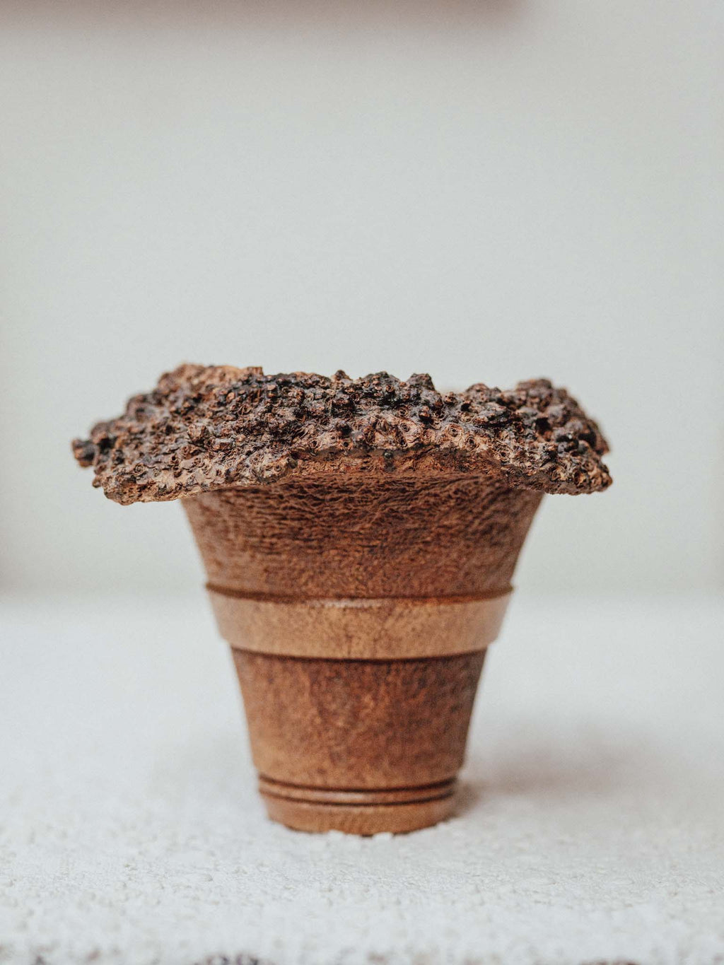 Turned Blackboy Peach Wood Vase with Natural Burr Rim