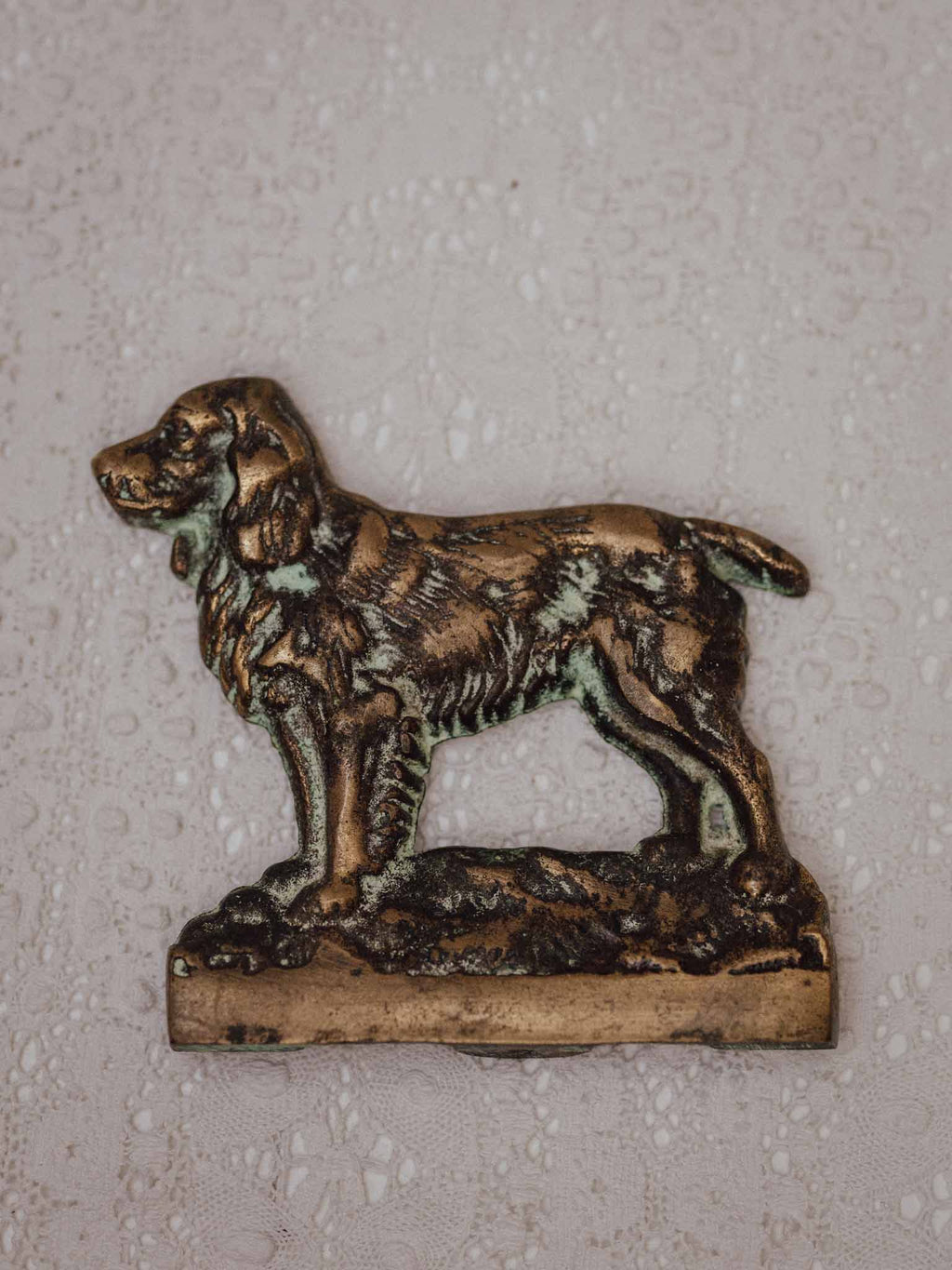 Cast Brass Dog