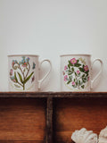 Pair of Vintage Portmeirion Botanic Garden Mugs