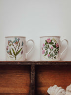 Pair of Vintage Portmeirion Botanic Garden Mugs