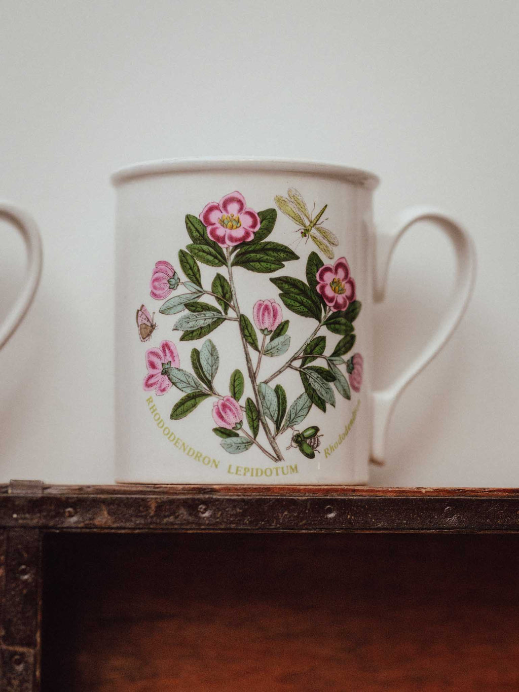 Pair of Vintage Portmeirion Botanic Garden Mugs
