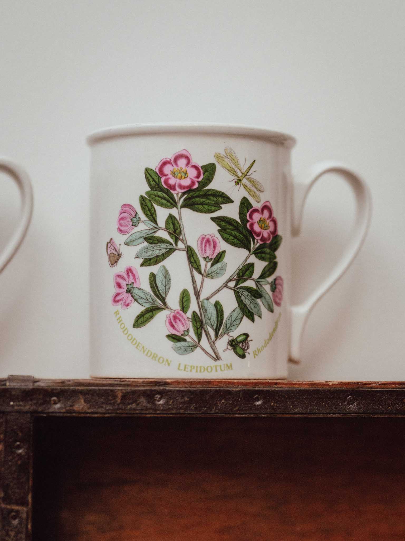 Pair of Vintage Portmeirion Botanic Garden Mugs