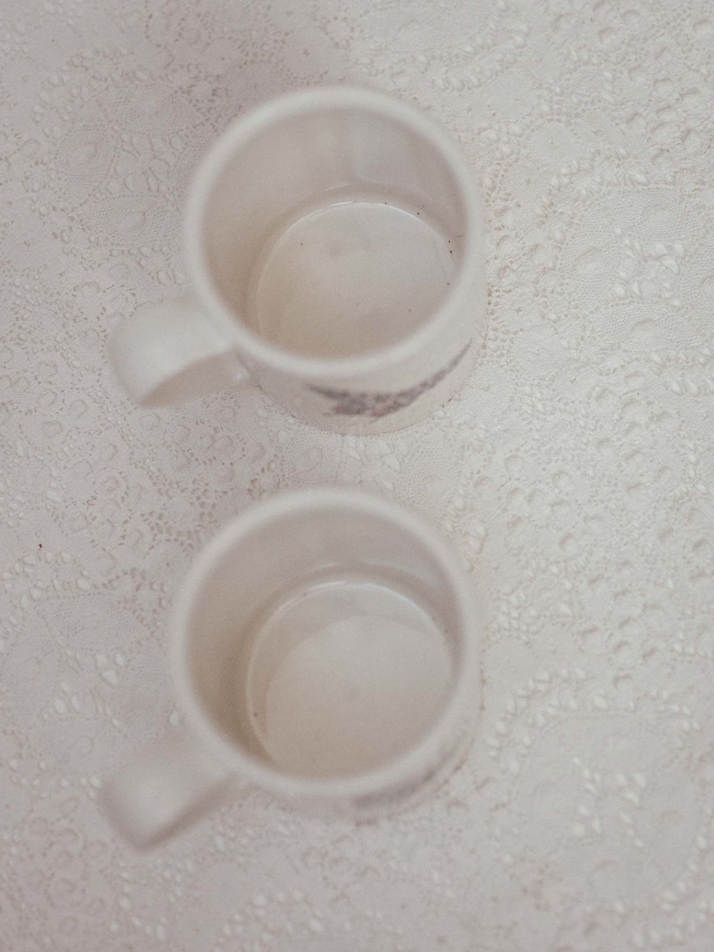 Pair of Vintage Portmeirion Botanic Garden Mugs