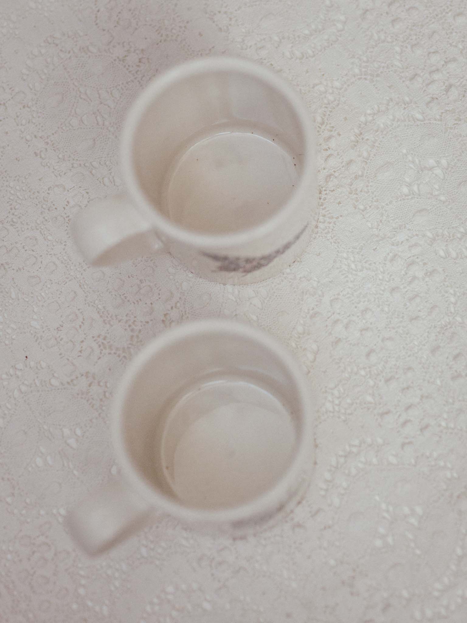 Pair of Vintage Portmeirion Botanic Garden Mugs