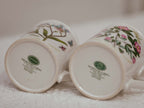 Pair of Vintage Portmeirion Botanic Garden Mugs