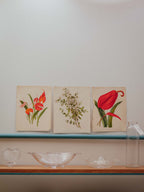Antique Botanical Lithograph 'A Group of Masdevallias'