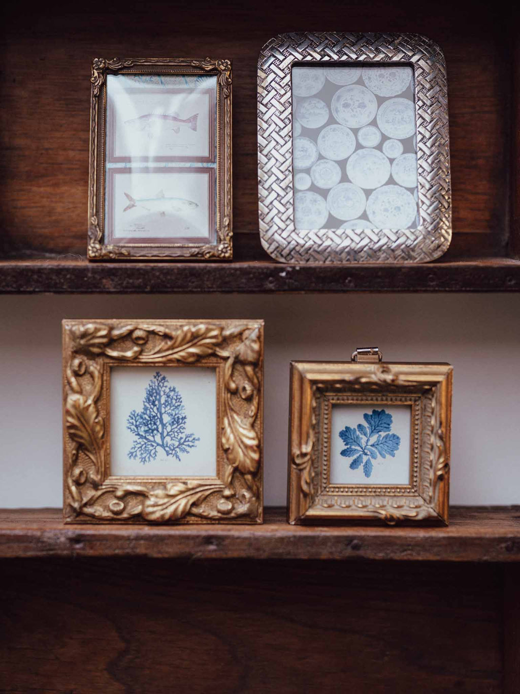 Pair of Indigo Seaweed Prints in Gilt Frames