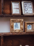 Pair of Indigo Seaweed Prints in Gilt Frames