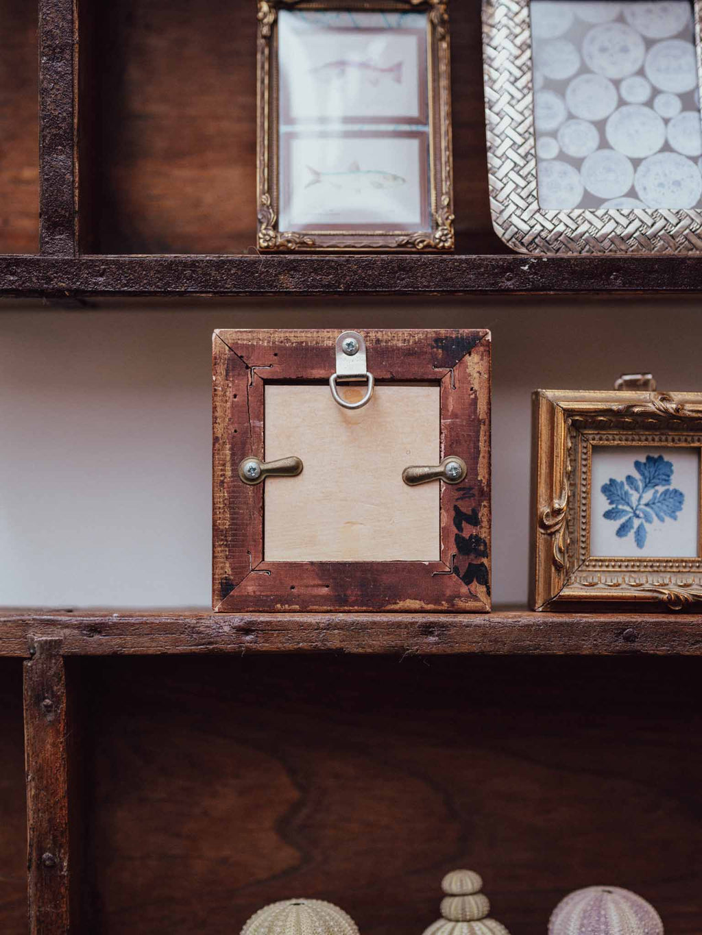 Pair of Indigo Seaweed Prints in Gilt Frames