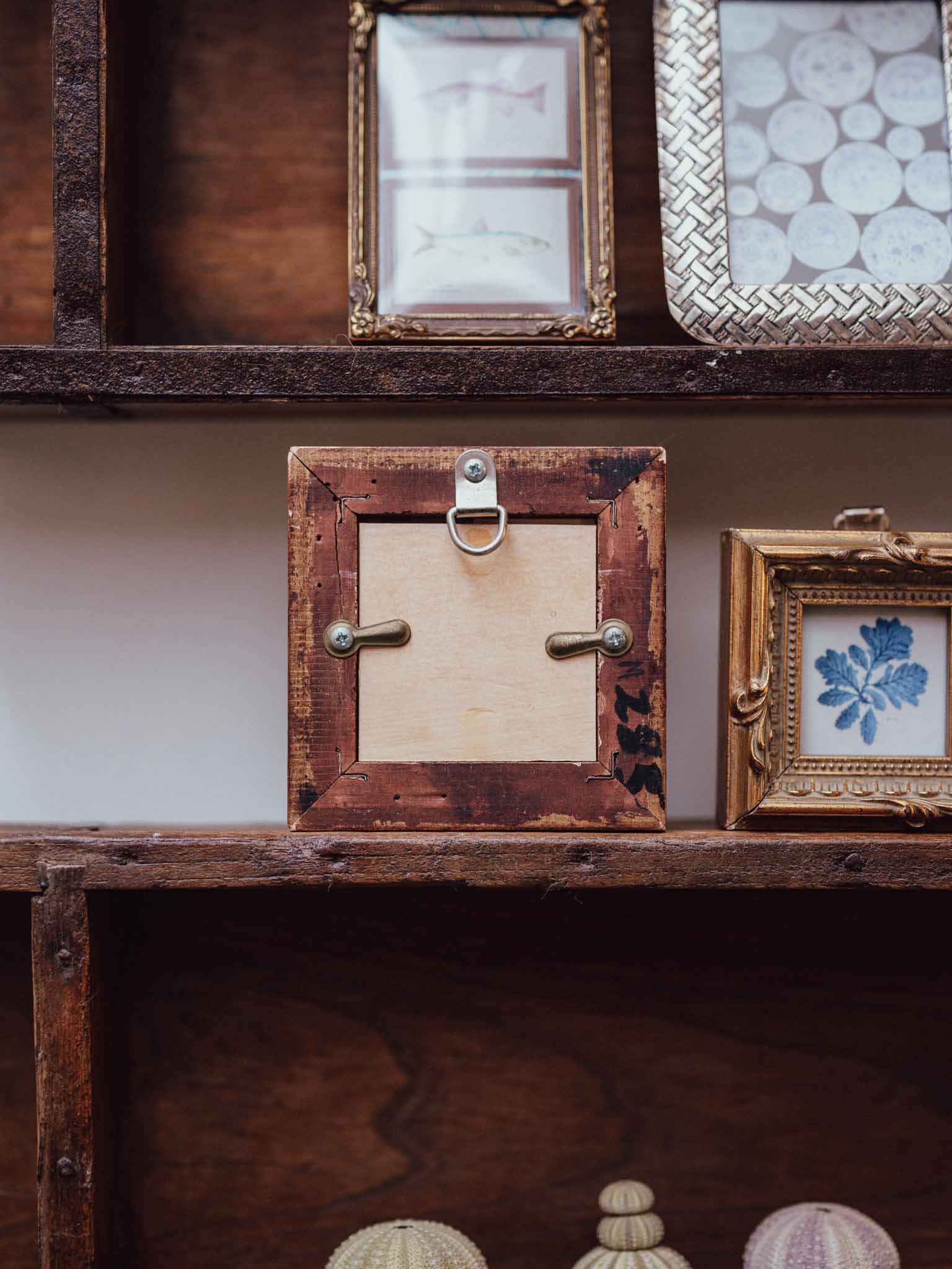 Pair of Indigo Seaweed Prints in Gilt Frames