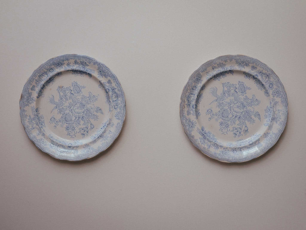 Asiatic Pheasants Blue Transferware Plate 2 of 2