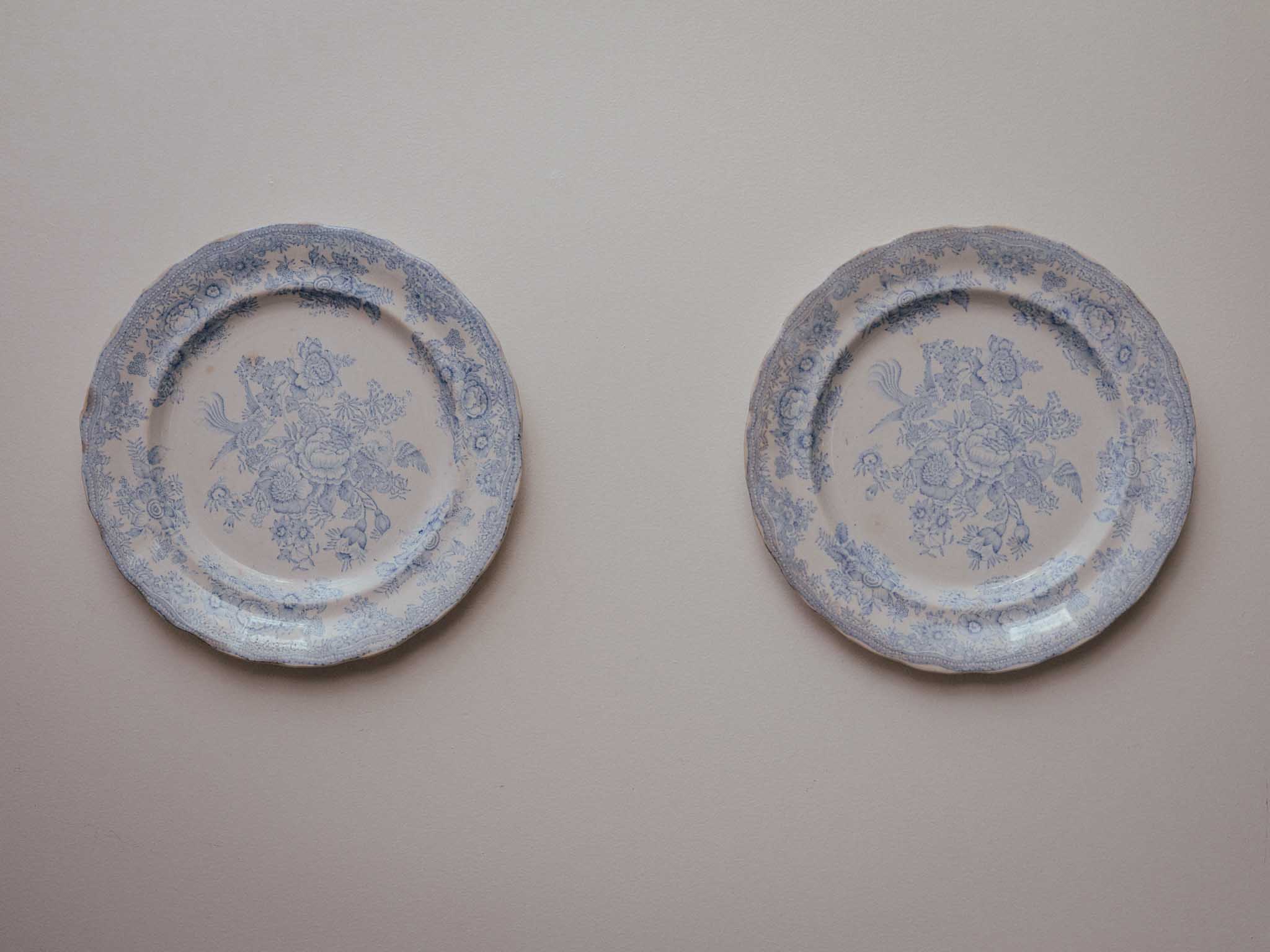 Asiatic Pheasants Blue Transferware Plate 1 of 2