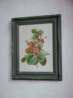 Framed Strawberry Botanical Print Fragaria Grandiflora