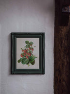 Framed Strawberry Botanical Print Fragaria Grandiflora