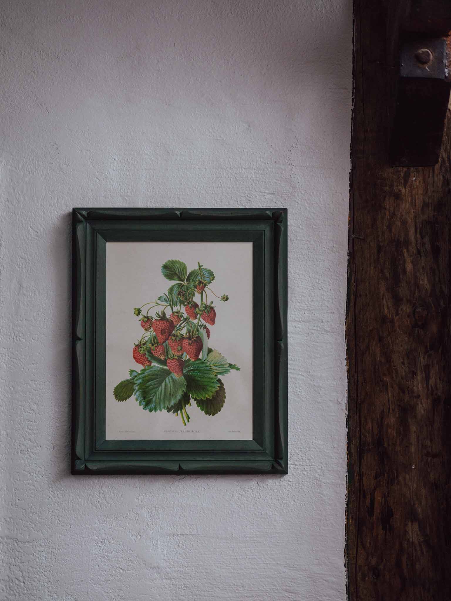 Framed Strawberry Botanical Print Fragaria Grandiflora