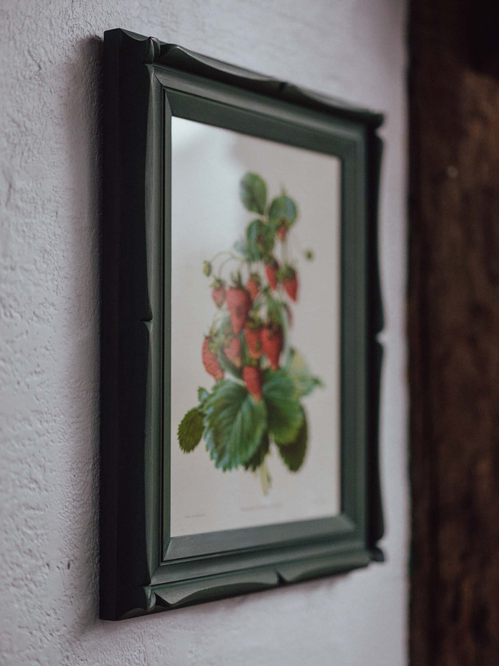 Framed Strawberry Botanical Print Fragaria Grandiflora