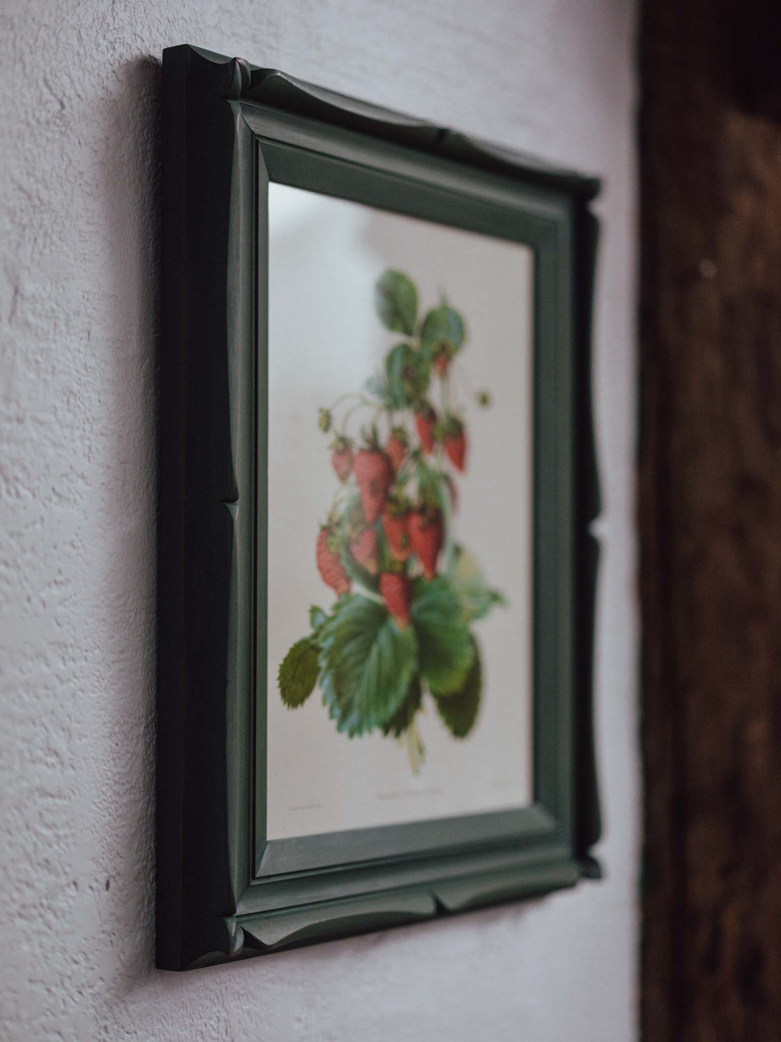 Framed Strawberry Botanical Print Fragaria Grandiflora