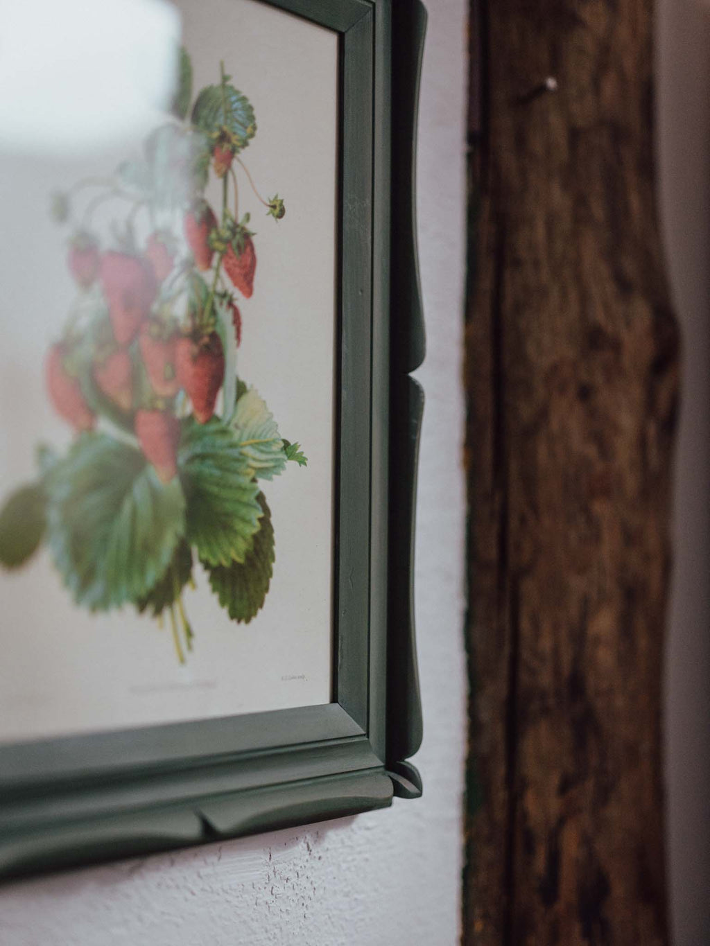 Framed Strawberry Botanical Print Fragaria Grandiflora