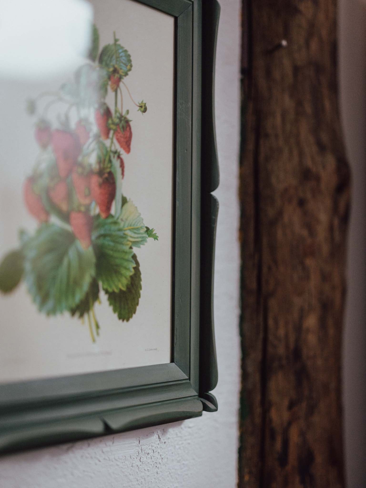 Framed Strawberry Botanical Print Fragaria Grandiflora