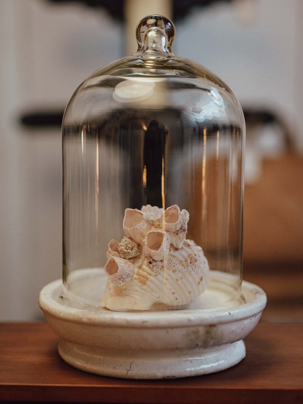 Extra Large Glass Cloche with Crazed Ceramic Base