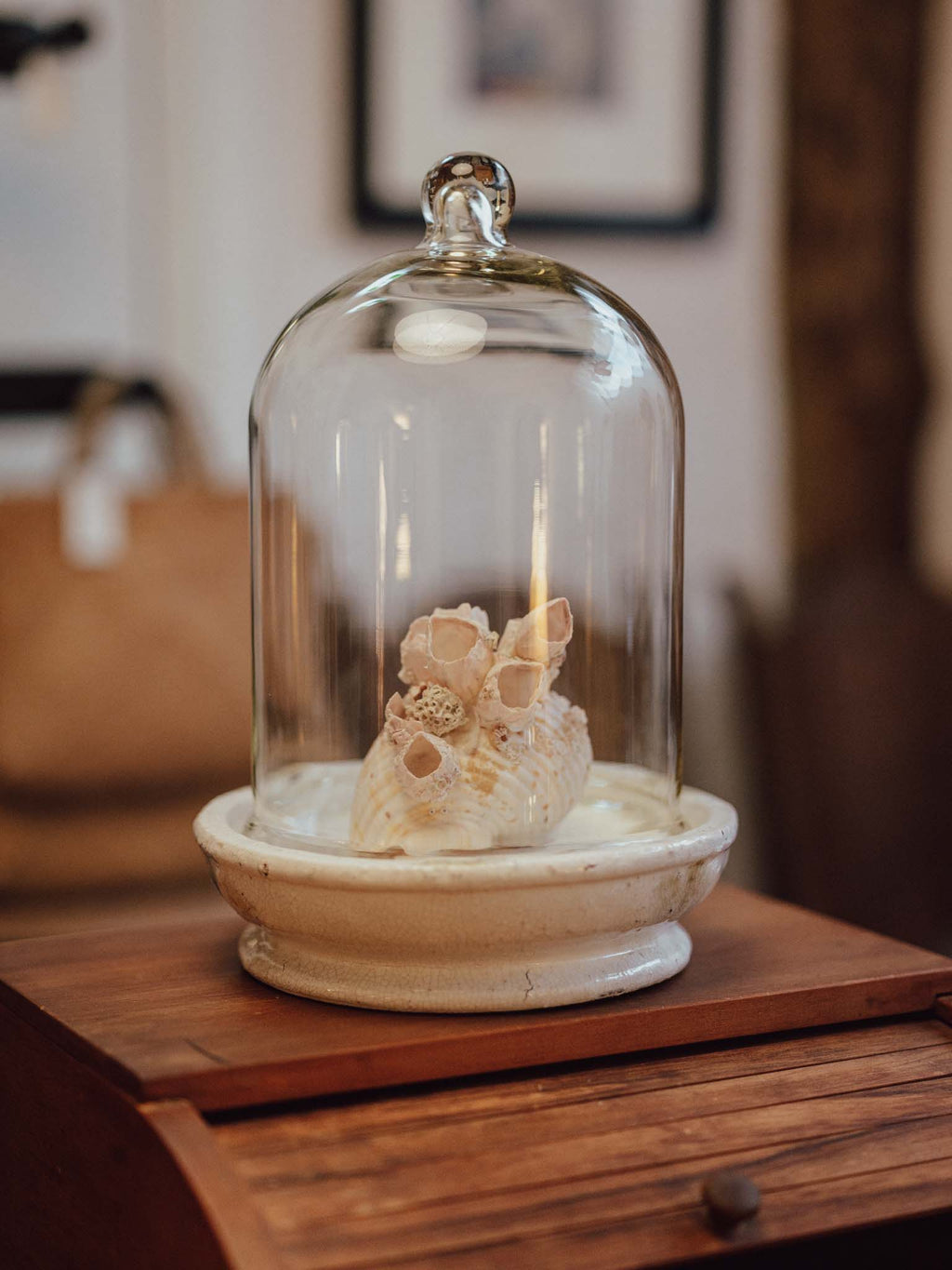 Extra Large Glass Cloche with Crazed Ceramic Base
