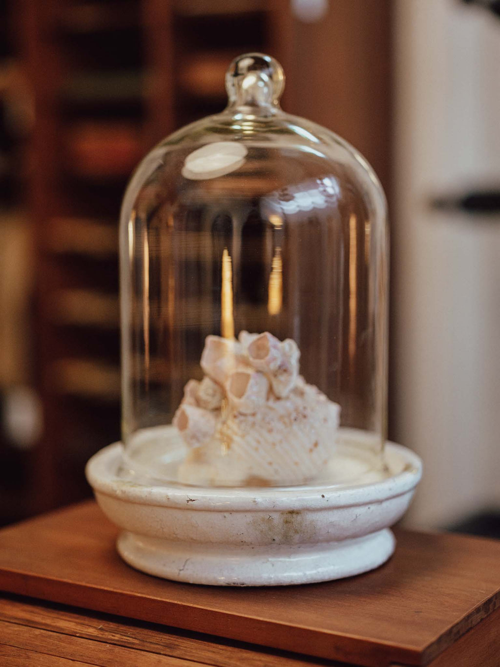 Extra Large Glass Cloche with Crazed Ceramic Base