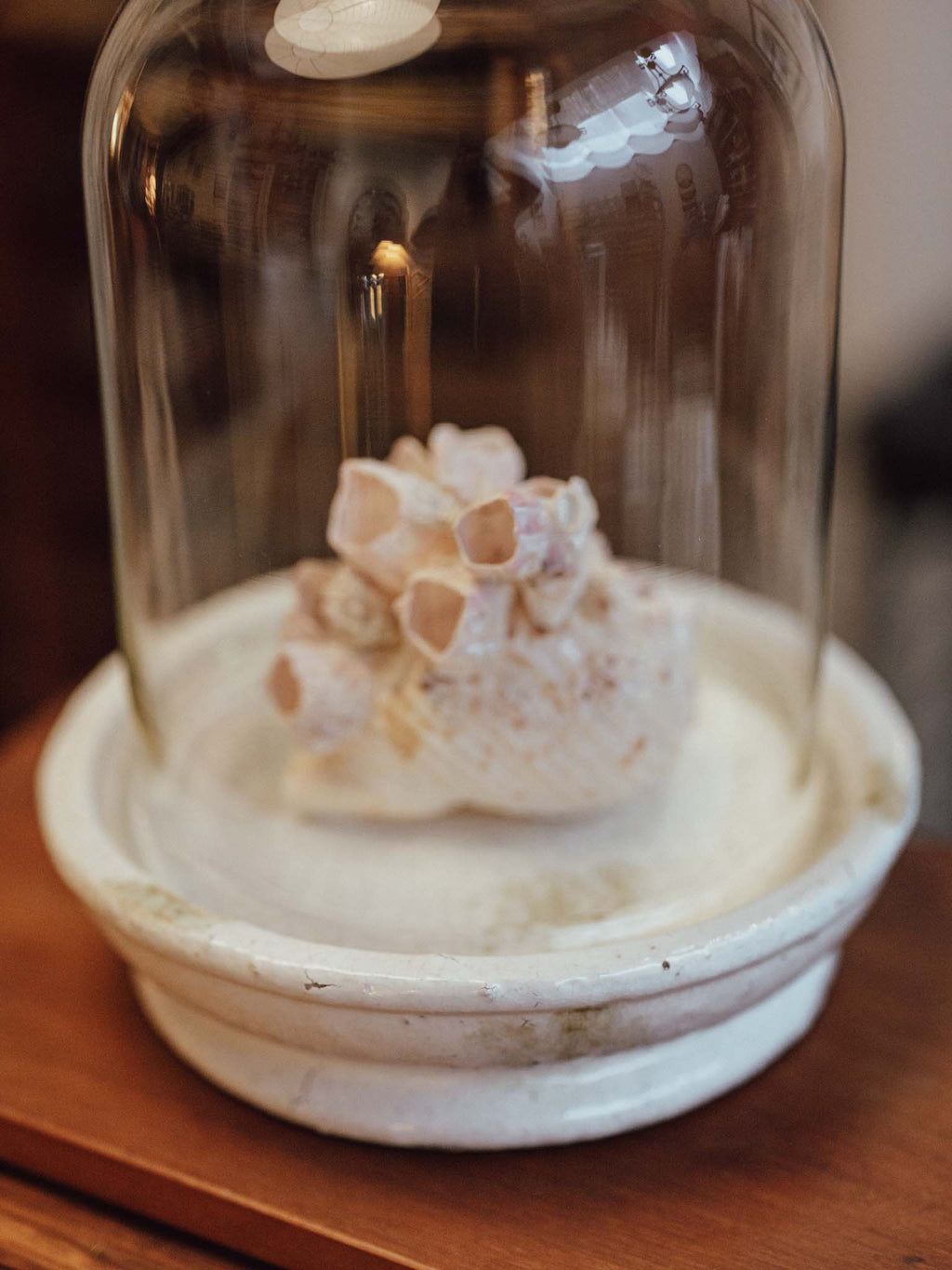 Extra Large Glass Cloche with Crazed Ceramic Base