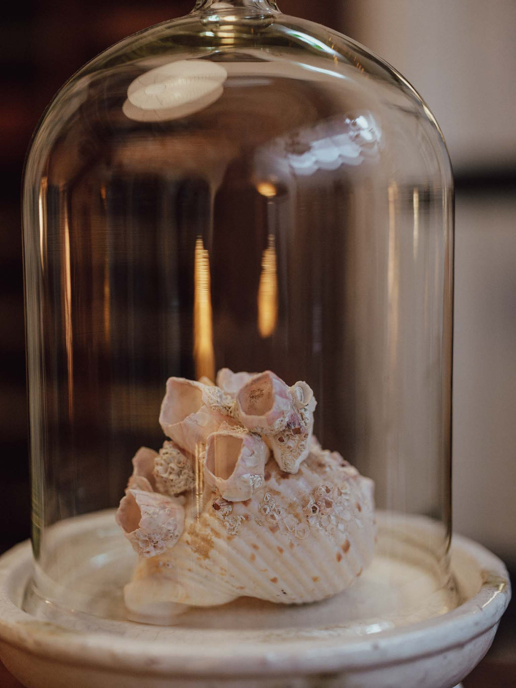 Extra Large Glass Cloche with Crazed Ceramic Base