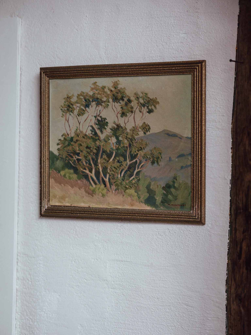 Muriel Harkness Oil Painting "The Blue Gum Tree"