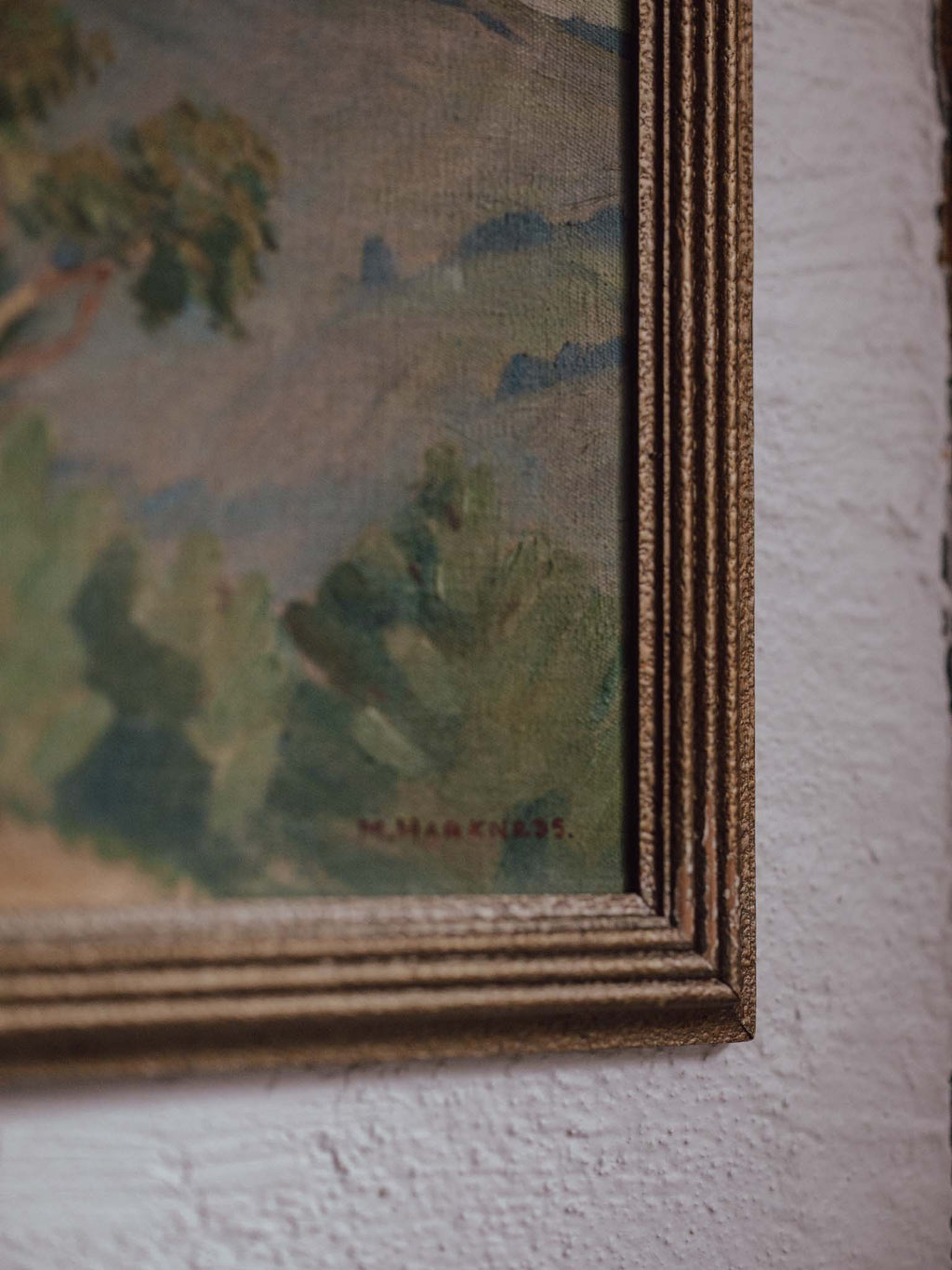 Muriel Harkness Oil Painting "The Blue Gum Tree"
