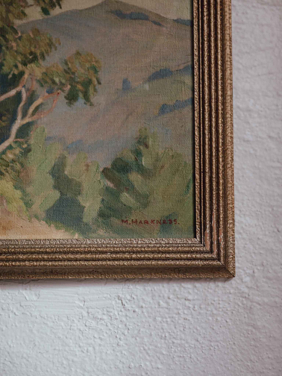 Muriel Harkness Oil Painting "The Blue Gum Tree"