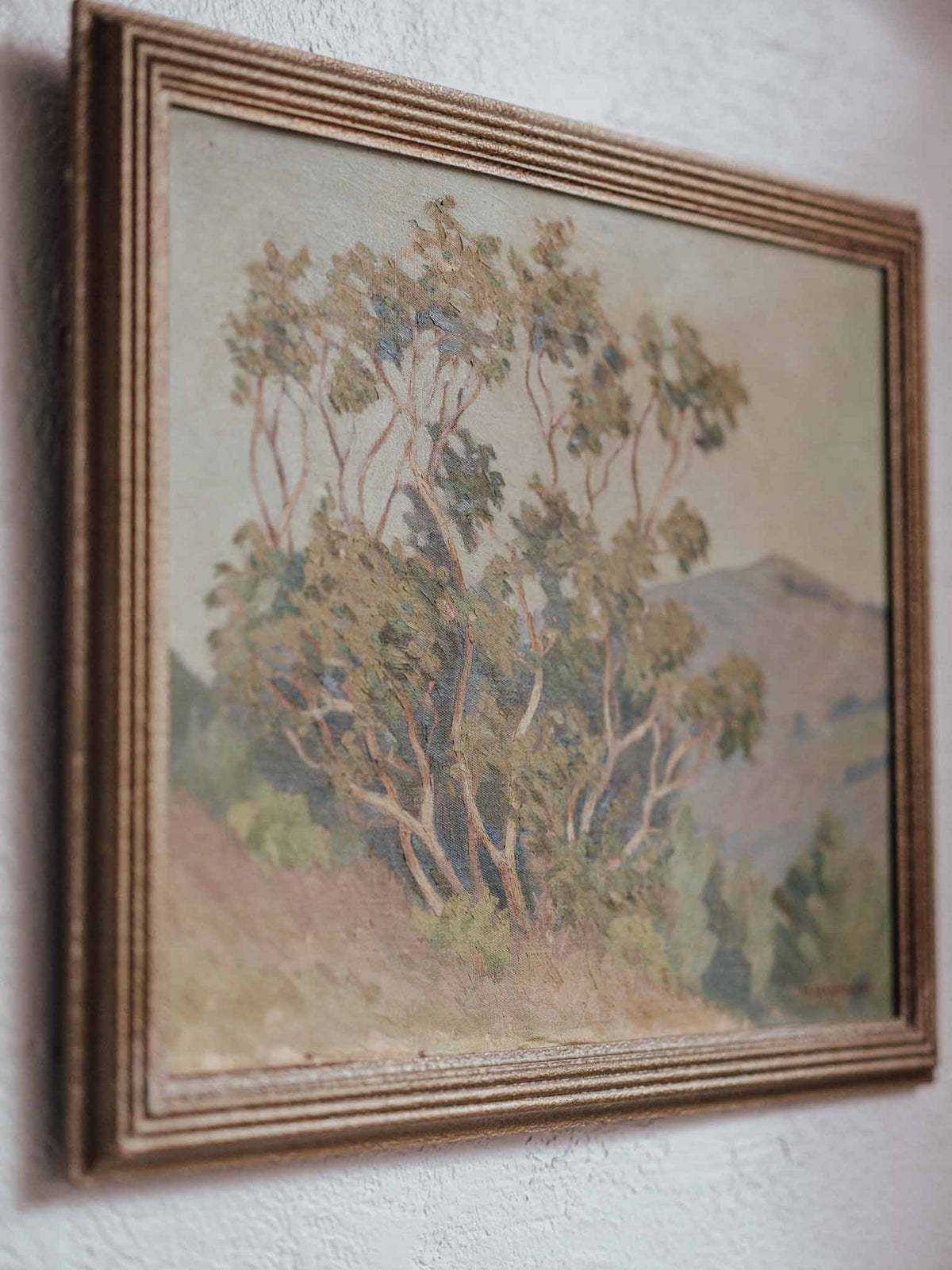 Muriel Harkness Oil Painting "The Blue Gum Tree"