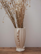 Falcon Ware Cream Shell Jug