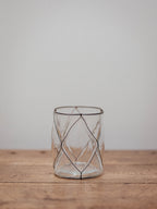 Clear Glass Vase in Black Wire Cage