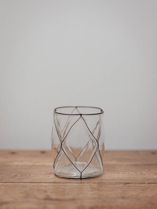 Clear Glass Vase in Black Wire Cage