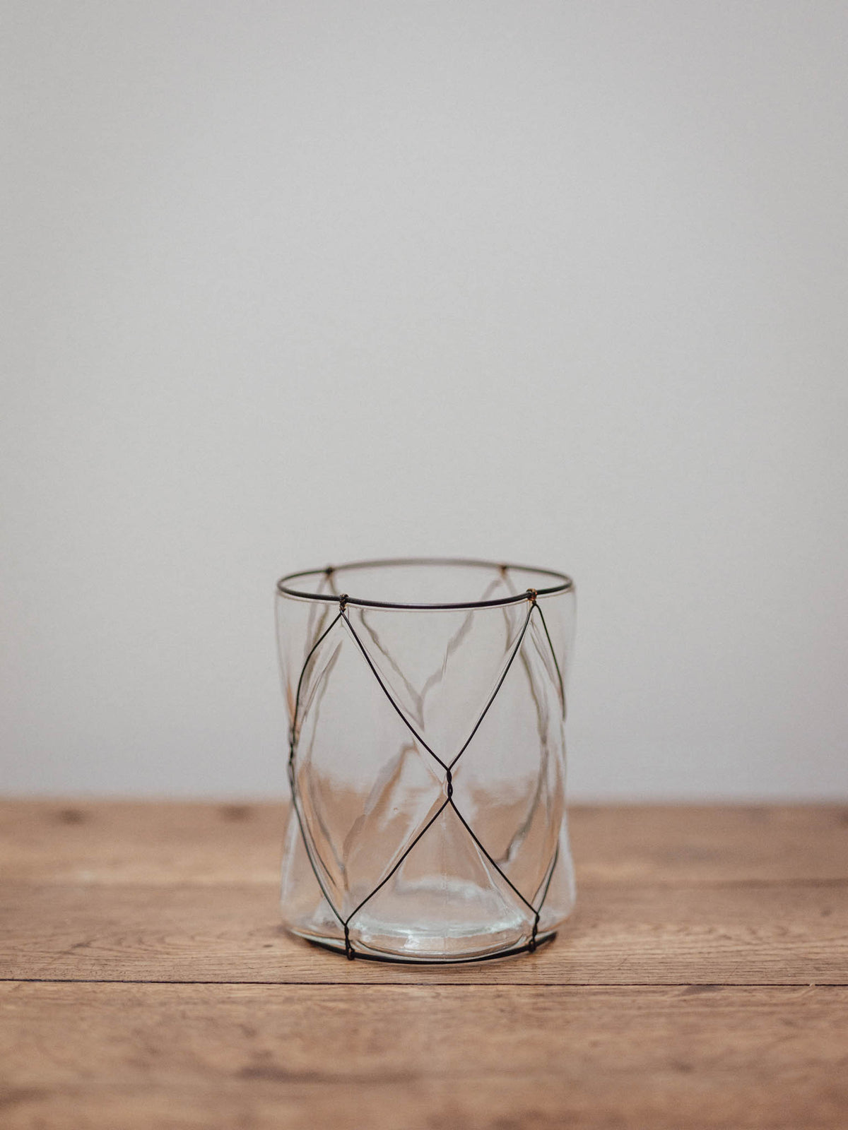 Clear Glass Vase in Black Wire Cage
