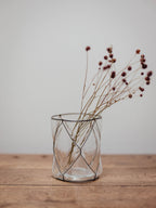 Clear Glass Vase in Black Wire Cage