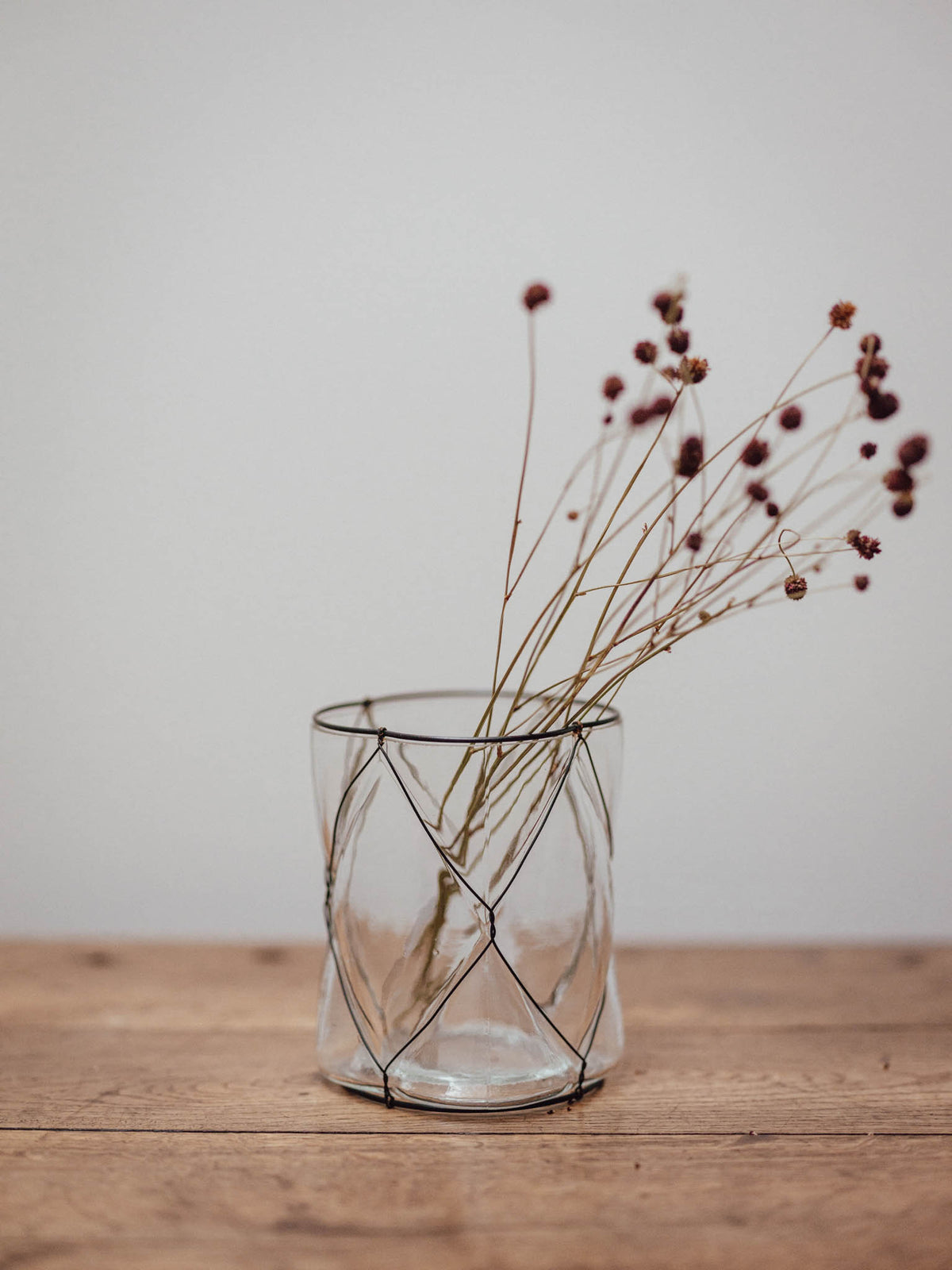 Clear Glass Vase in Black Wire Cage