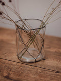Clear Glass Vase in Black Wire Cage