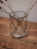 Clear Glass Vase in Black Wire Cage