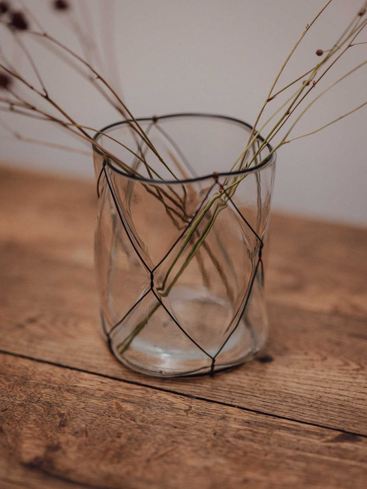 Clear Glass Vase in Black Wire Cage