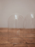Clear Glass Display Domes - 4 Available