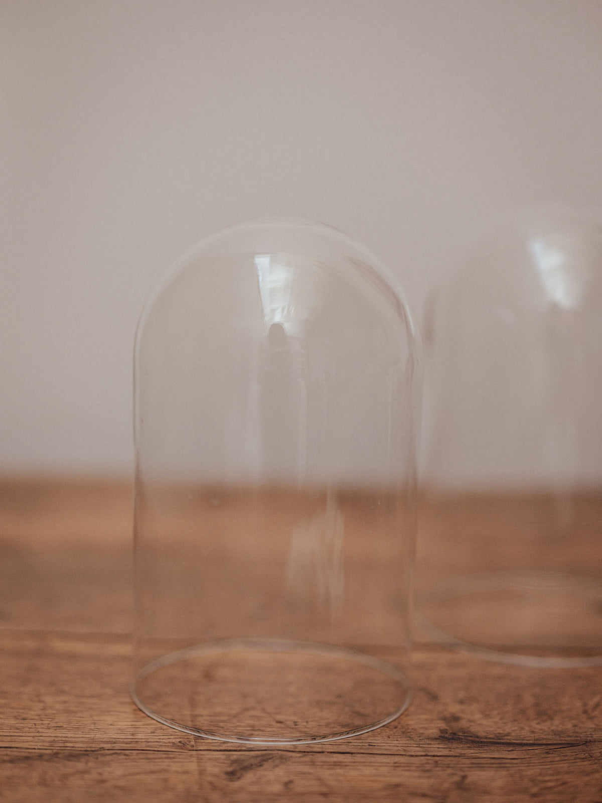 Clear Glass Display Domes - 4 Available