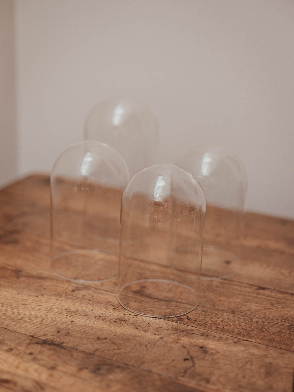 Clear Glass Display Domes - 4 Available