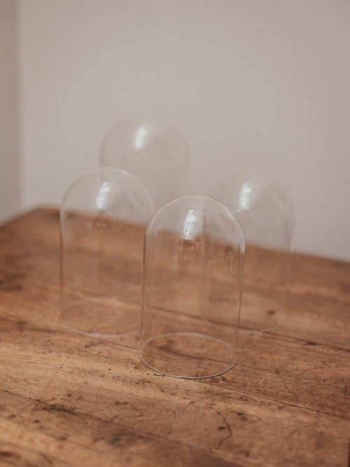 Clear Glass Display Domes - 4 Available