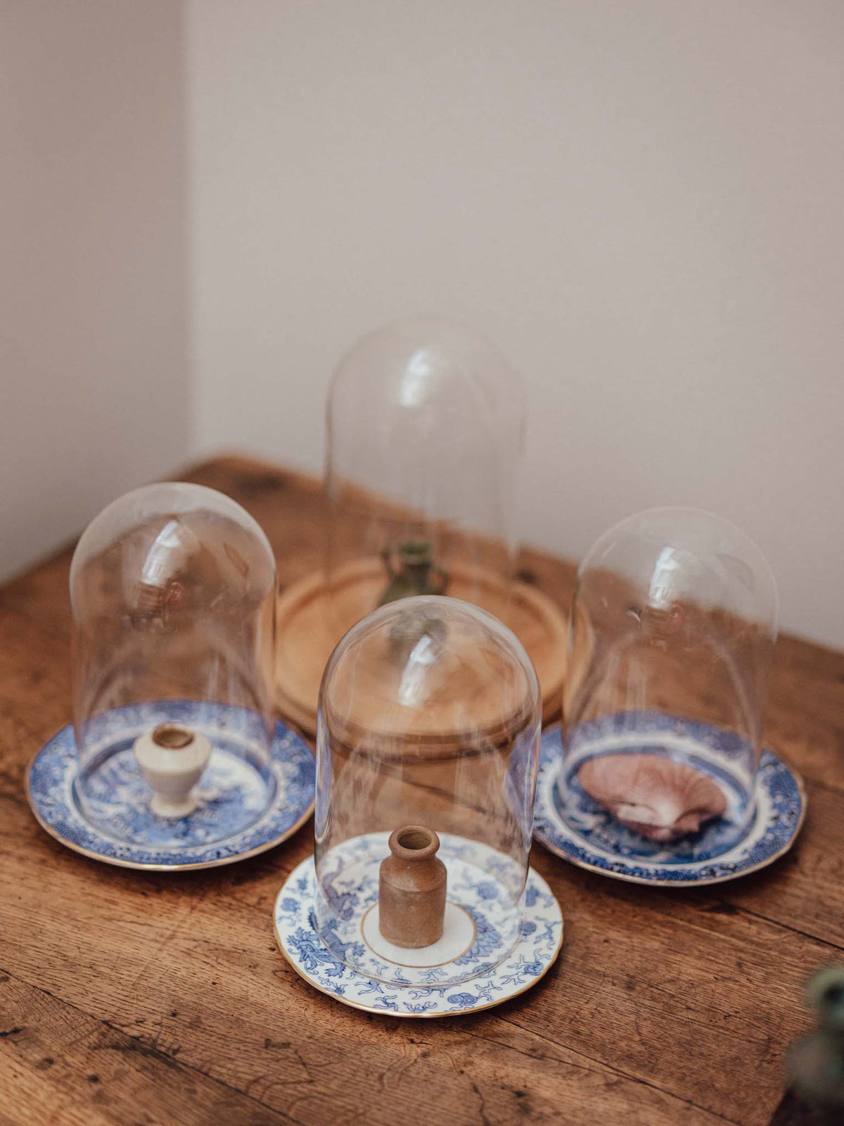 Clear Glass Display Domes - 4 Available