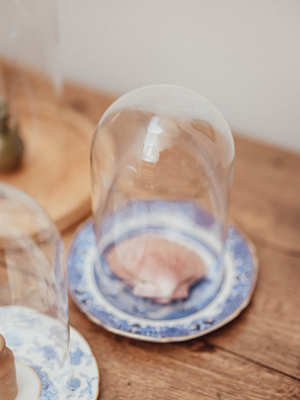 Clear Glass Display Domes - 4 Available